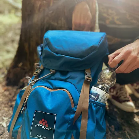 Schwarzwaldhotel فندق 4*