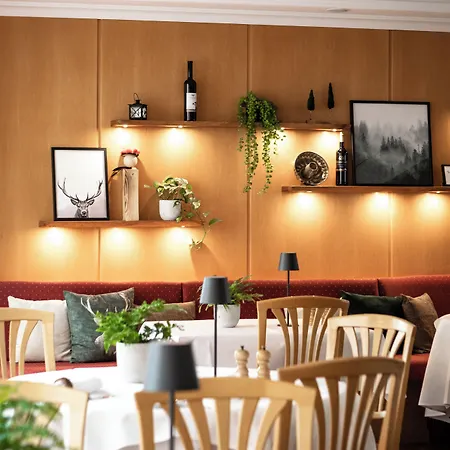 根根巴赫黑森林酒店 哥根巴赫