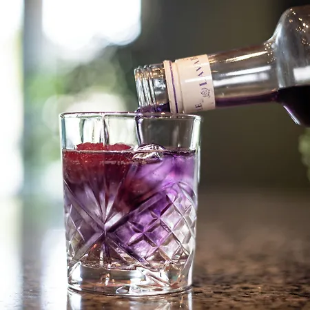 Hotel Schwarzwaldhotel