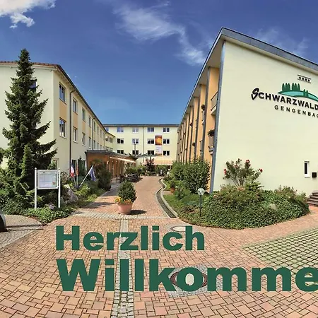 Schwarzwaldhotel غينغنباخ
