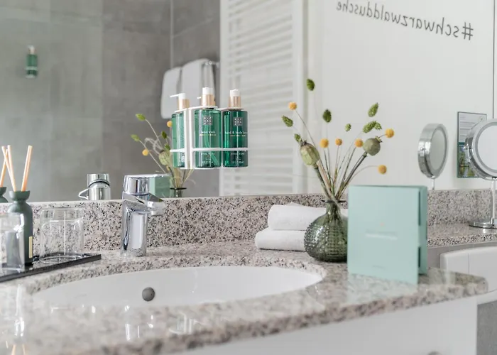 Schwarzwaldhotel 4* غينغنباخ