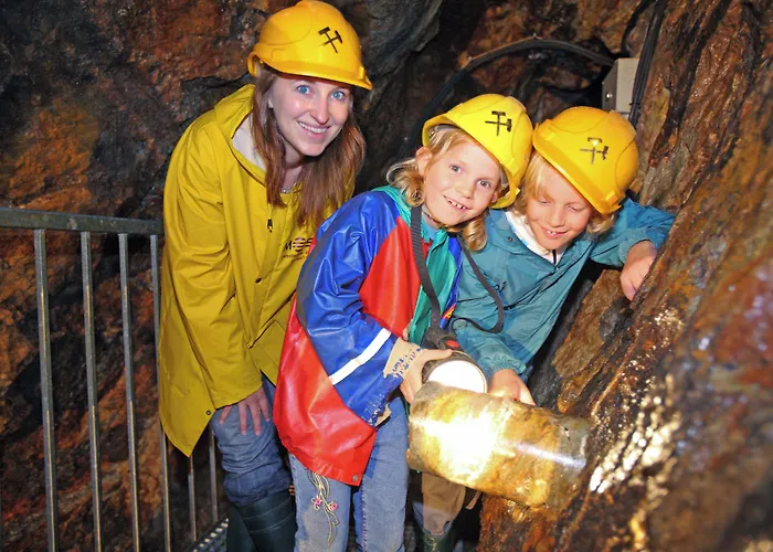 فندق Schwarzwaldhotel غينغنباخ