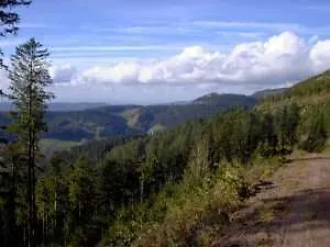 Schwarzwaldhotel Hotel